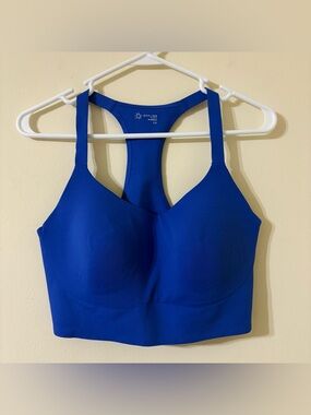 Aerie Large Sports Bra